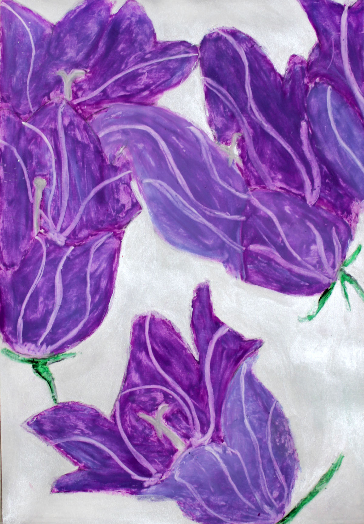 Resplendent in purple